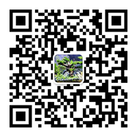 东莞配电安装公司|工厂水电安装公司|注塑机水电气安装|空压机气管安装|配电柜维修|配电房维保|拉电缆施工队|变压器维修|空压机管道安装